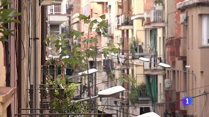 Telediario Fin de Semana - Vivienda y salud mental