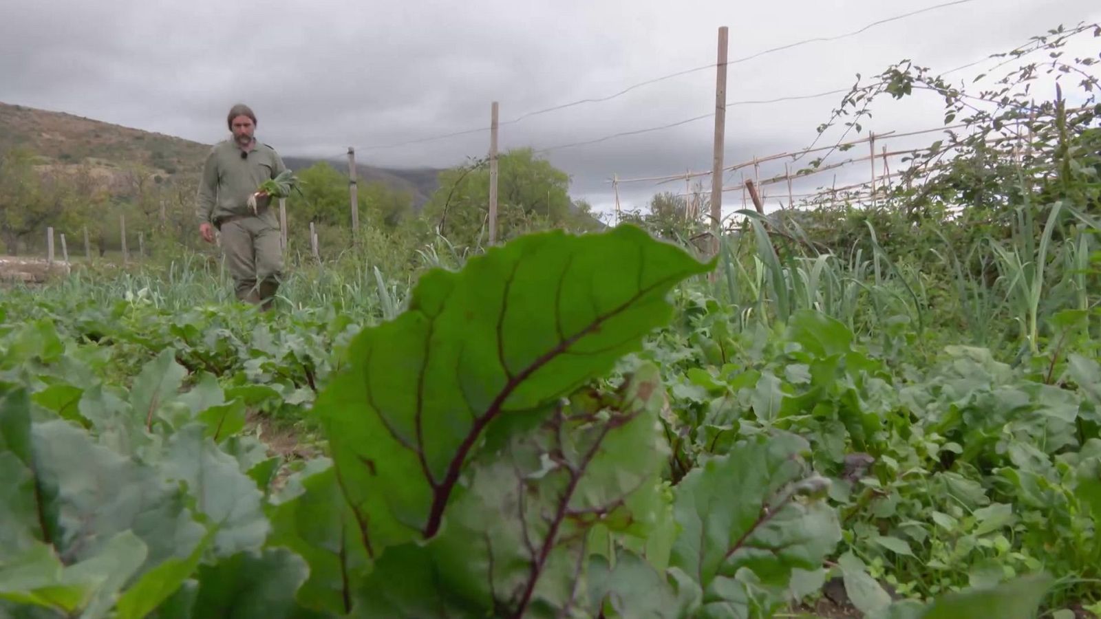 Aquí la Tierra - 27/10/24 - ver ahora