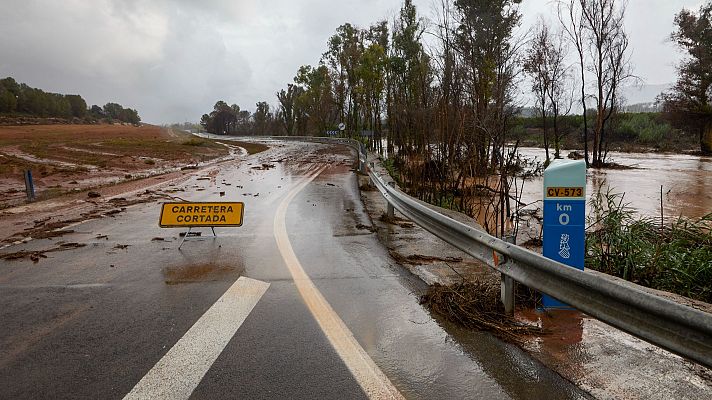 Diario 24 - Diario 24 - 29/10/24