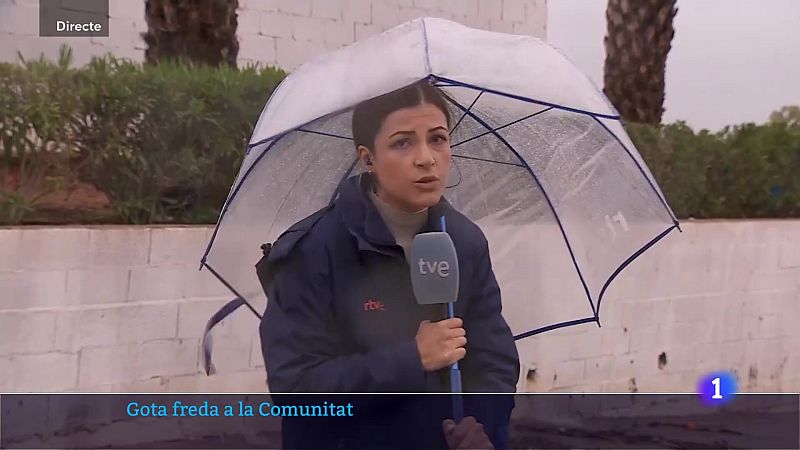 L'Informatiu de la Comunitat Valenciana 1 - 29/10/24 | Ver