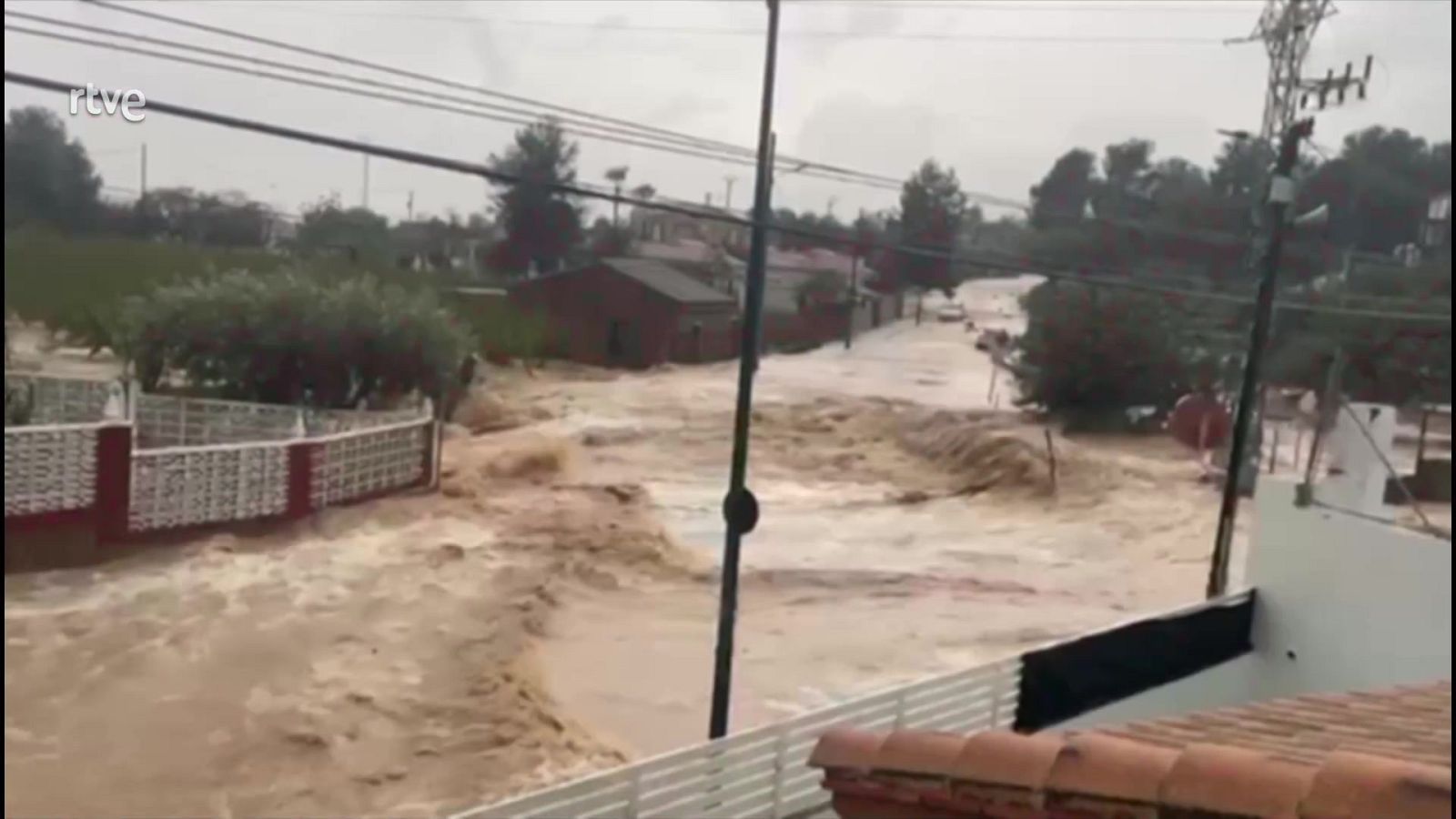 Informativo 24 horas - 14h - 29/10/24 - ver ahora