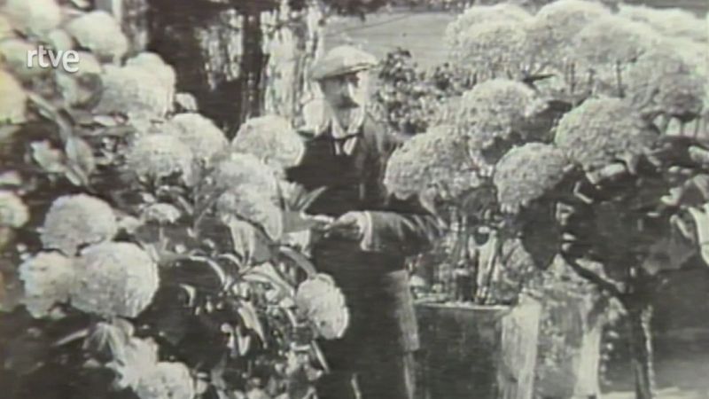 Llibreria Ballester. Apel·les Mestres. Premsa. Pla de Museus - Arxiu TVE Catalunya | Veure