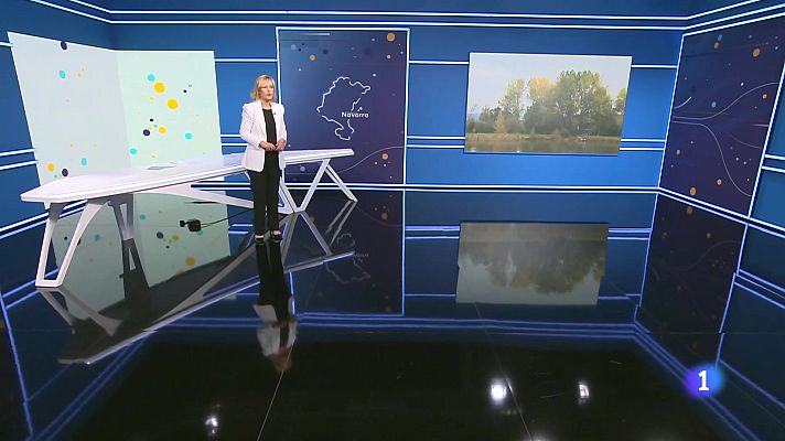 Telenavarra - Telenavarra en 2' -  30/10/2024