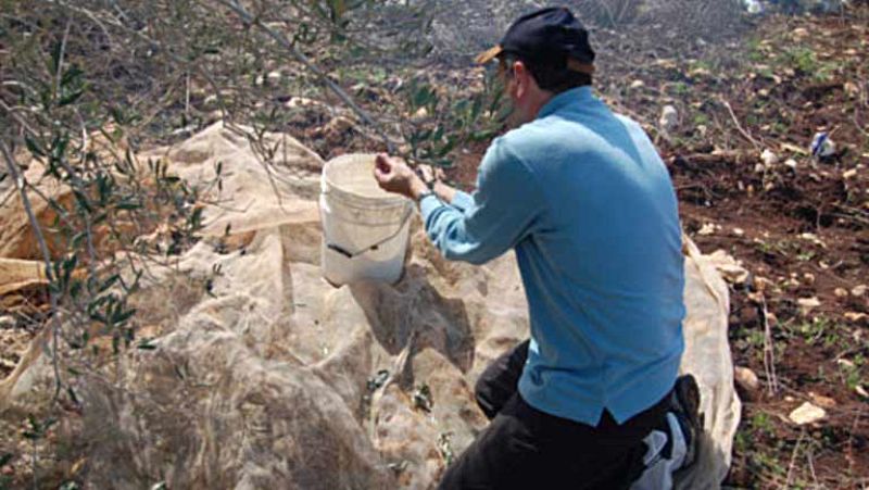 El calendario laboral de 2013