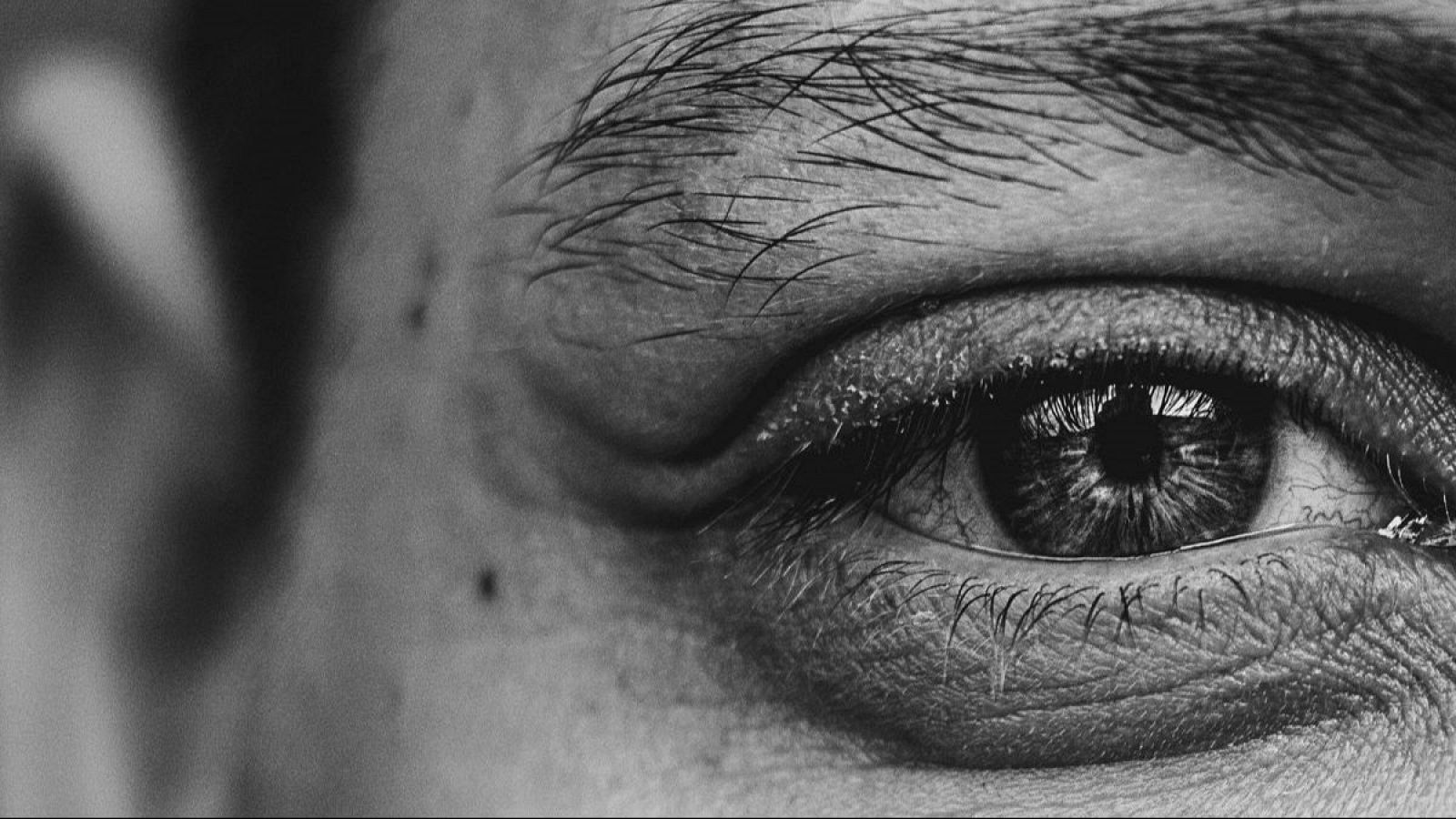 Gestiona la envidia correctamente - Para Todos La 2 - Para todos La 2 | Ver