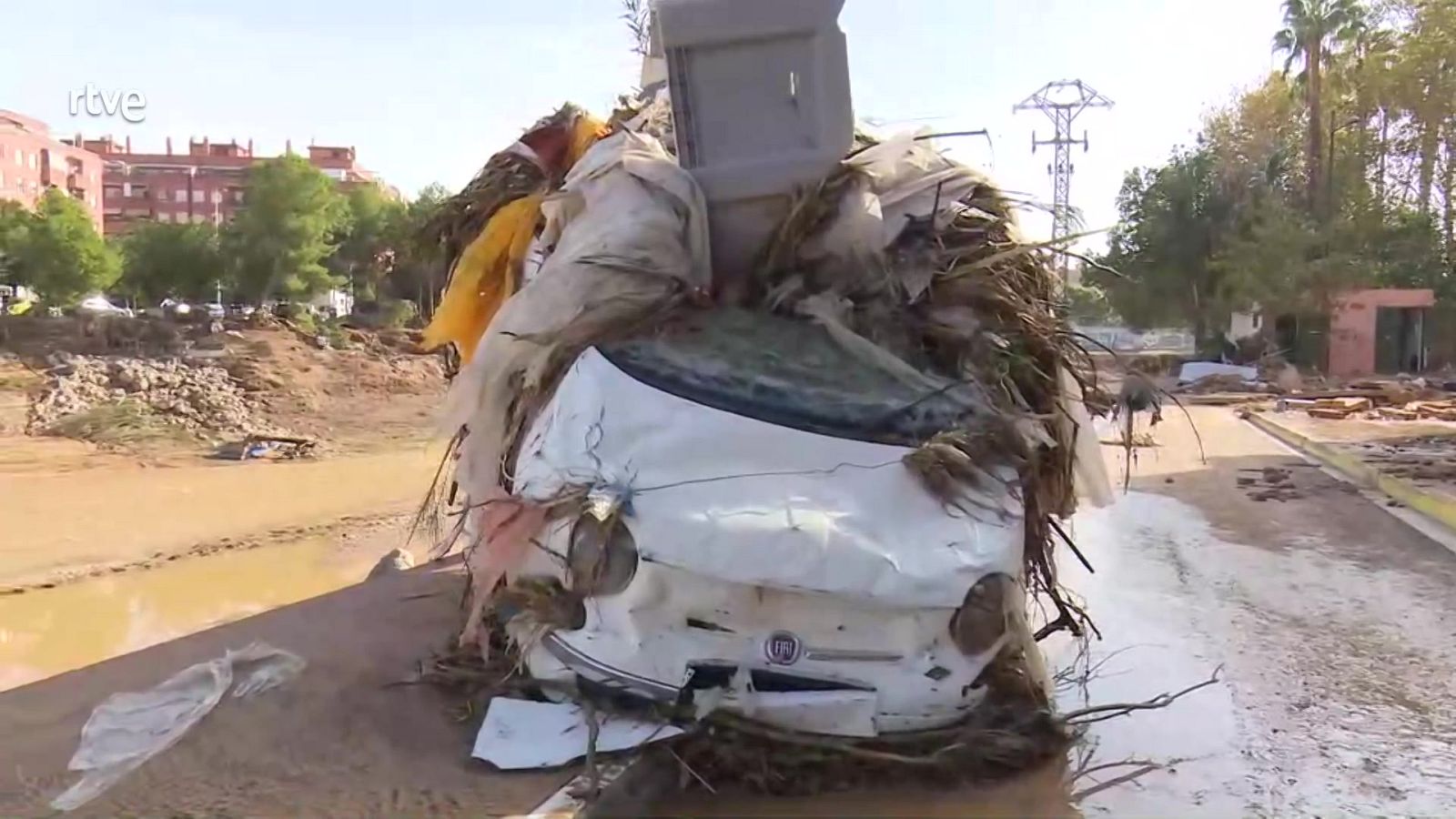 Mañaneros - Programa 281 - ver ahora