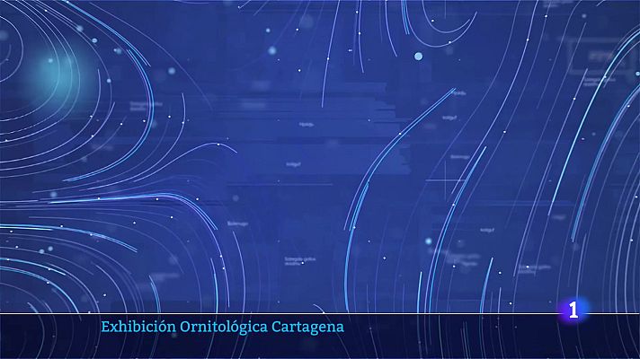 Noticias Murcia - El Tiempo en la Región de Murcia - 31/10/2024