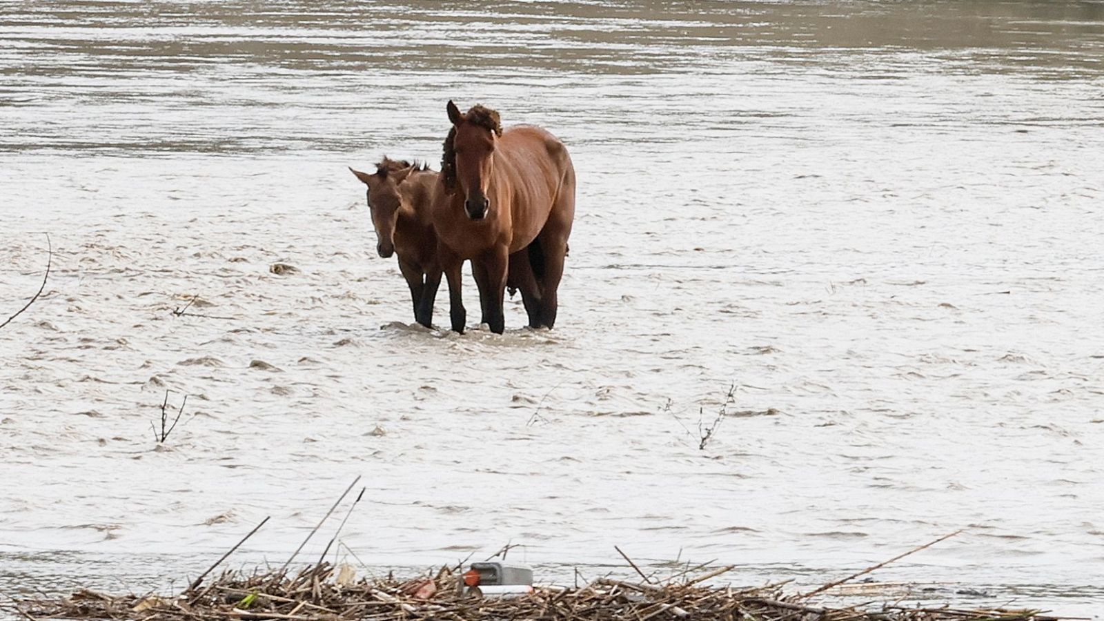 Telediario matinal en cuatro minutos - 01/11/2024 | Ver
