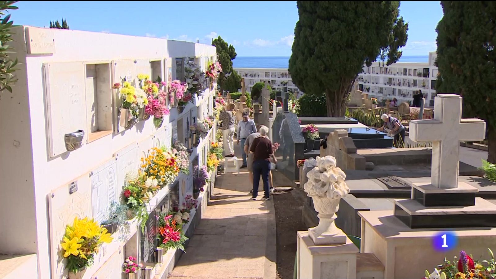 Canarias en 2' - 01/12/2024 | Ver