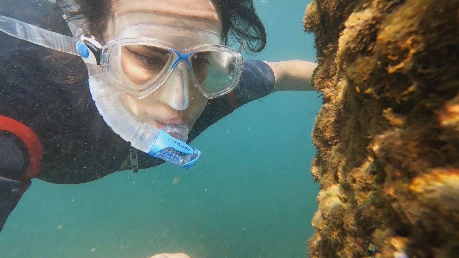 El escarabajo verde - A golpe de evento - ver ahora