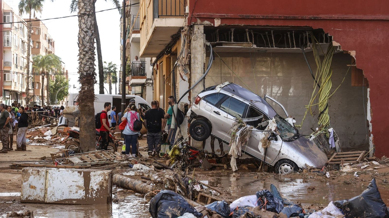 Informativo 24 horas - 20h - 01/11/24 - ver ahora