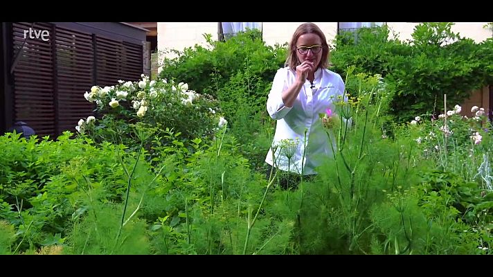 Zoom Tendencias - Fonteta, el secreto del Baix Empordá