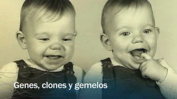 Redes - Genes, clones y gemelos - avance