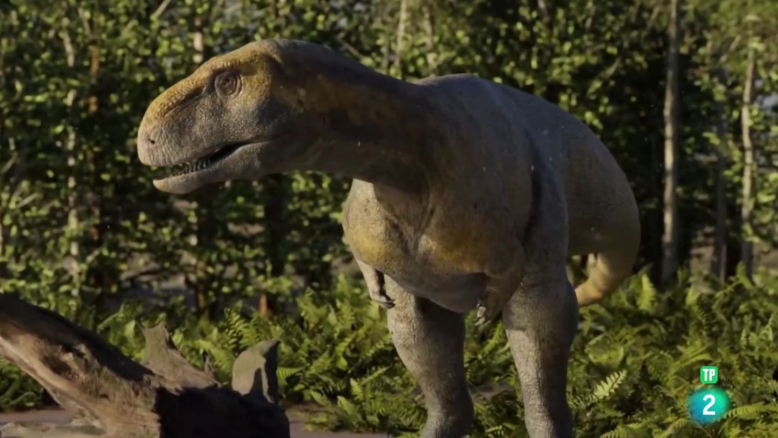 Dinosaurios de la Patagonia | Ver