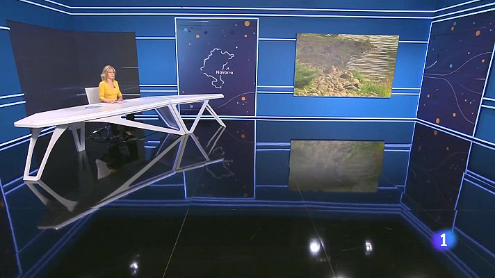 Telenavarra - Telenavarra en 2' -  5/11/2024
