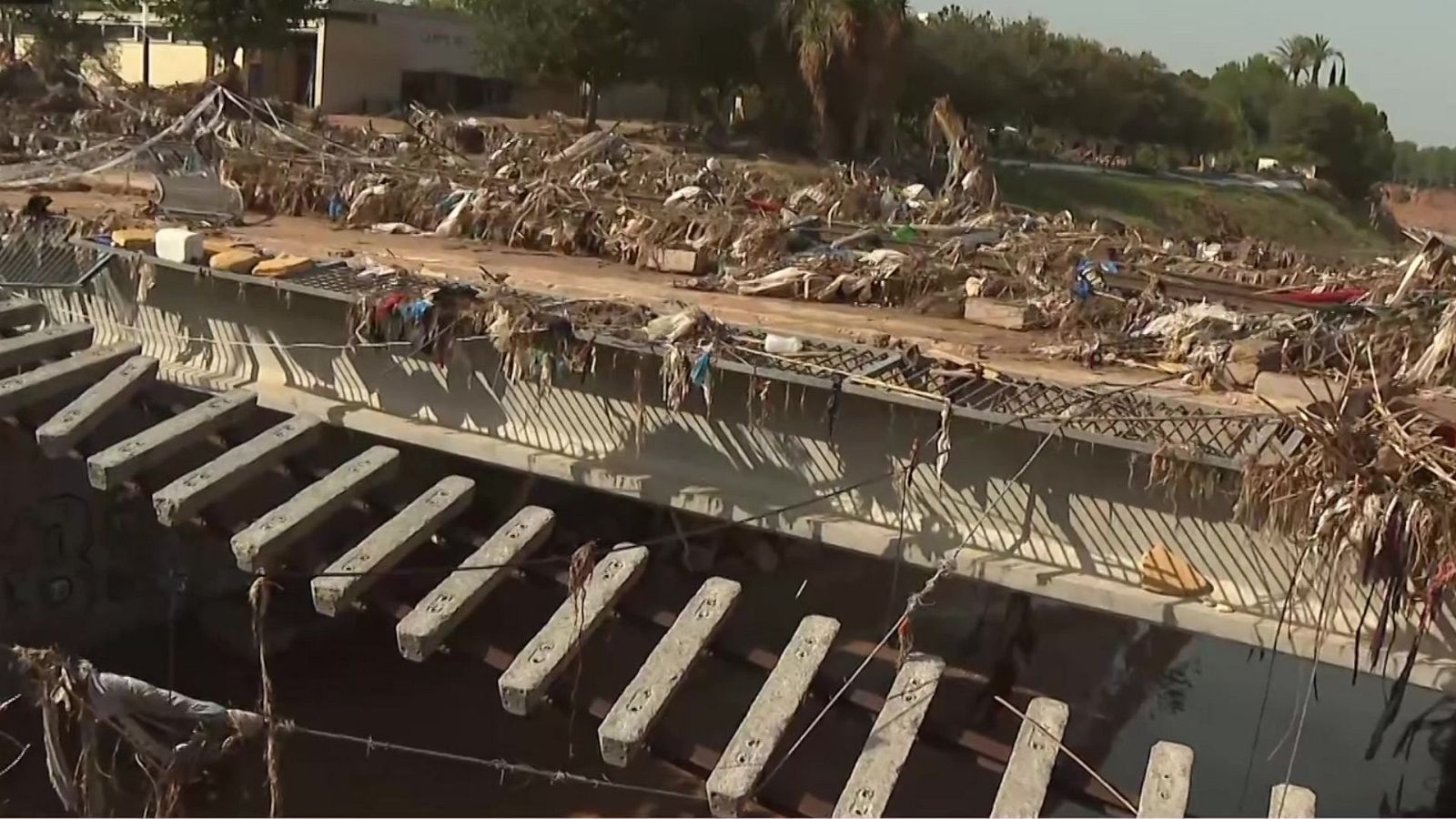 Diario 24 - 05/11/24 - ver ahora