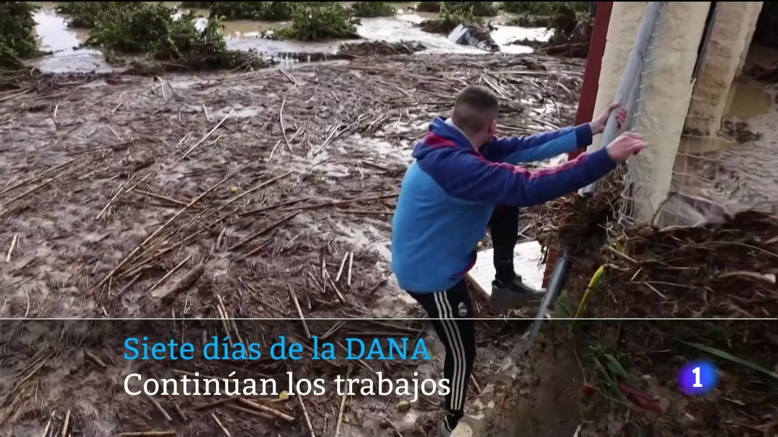 Canarias en 2' - 05/11/2024 | Ver