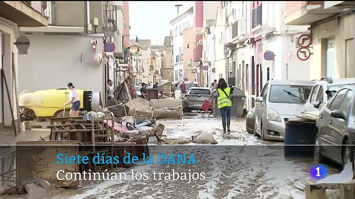 Telecanarias - Telecanarias - 05/11/2024