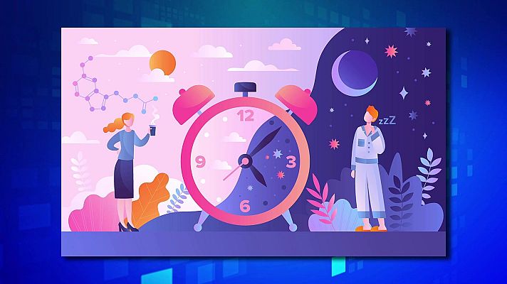 Saber y ganar - Saber y ganar - 05/11/24