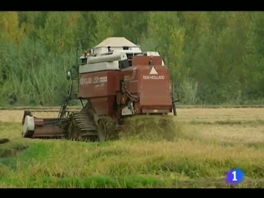 Noticias Murcia - Noticias Murcia 2.(02/01/2013).