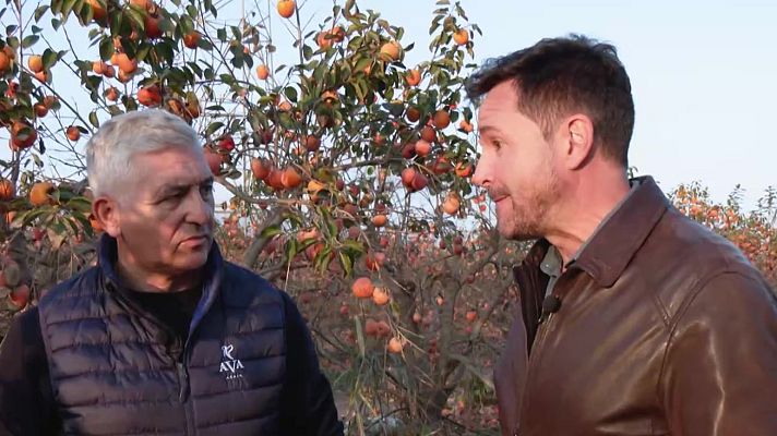 Aquí la Tierra - Efectos de la DANA en el campo