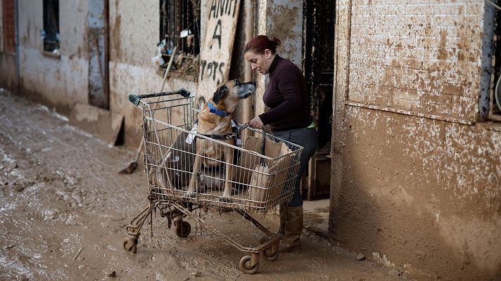 Telediario en lengua de signos - Telediario - 8 horas - 08/11/24 - Lengua de signos