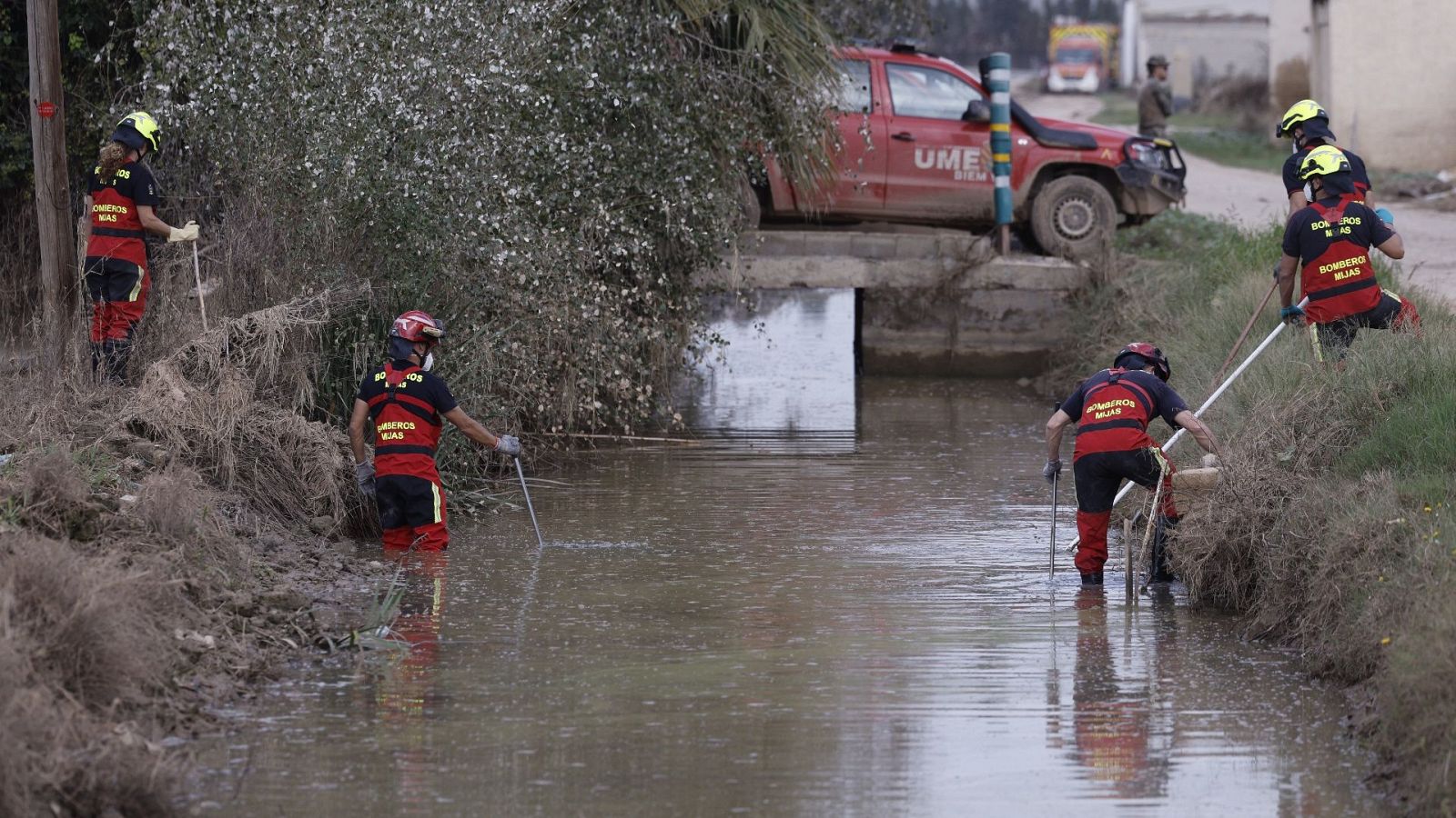 Diario 24 - 08/11/24 - ver ahora