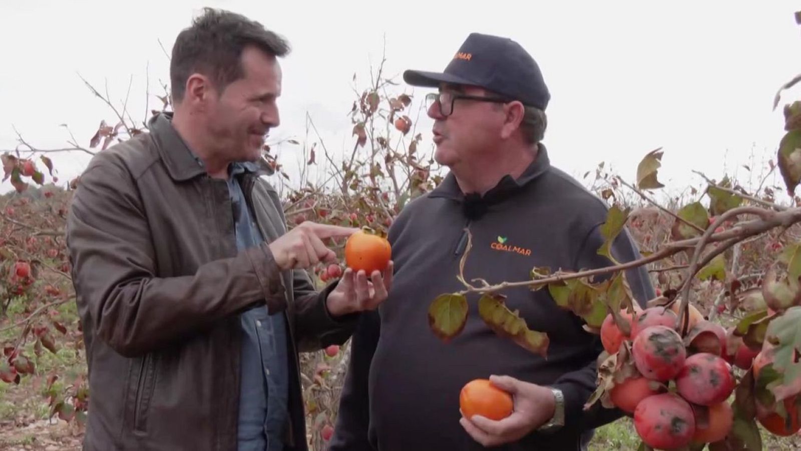 Pérdidas millonarias en el campo | Ver