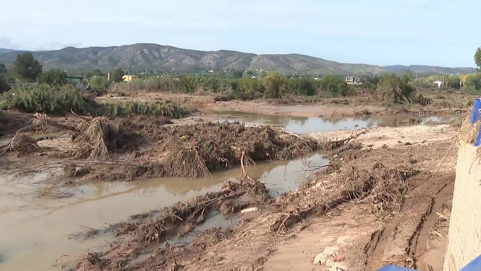 La tarde en 24 horas - 08/11/24 - ver ahora