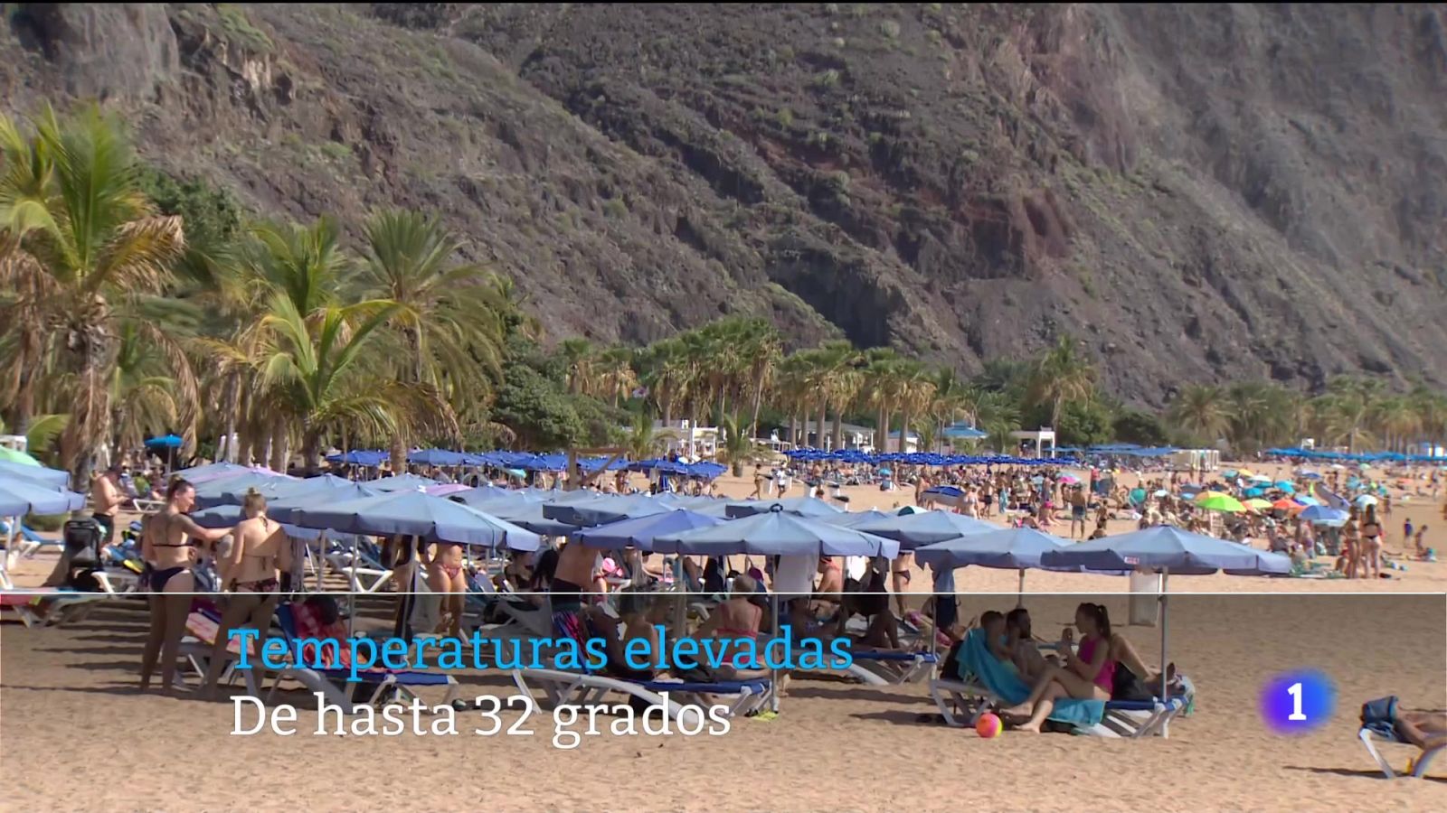 Telecanarias - 10/11/2024 | Ver