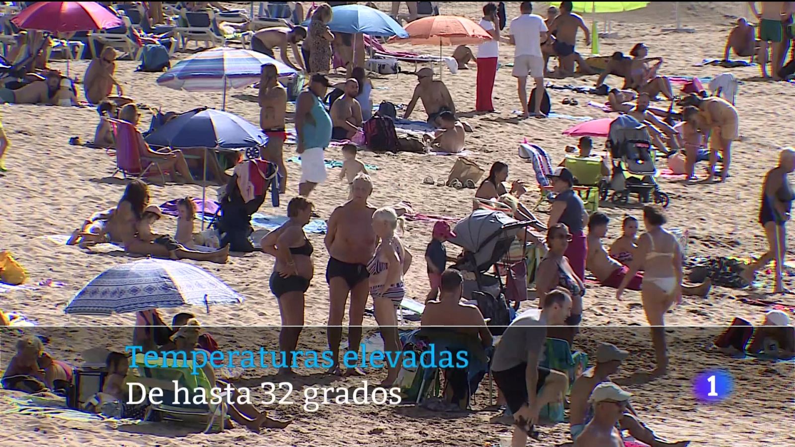 Canarias en 2' - 10/11/2024 | Ver