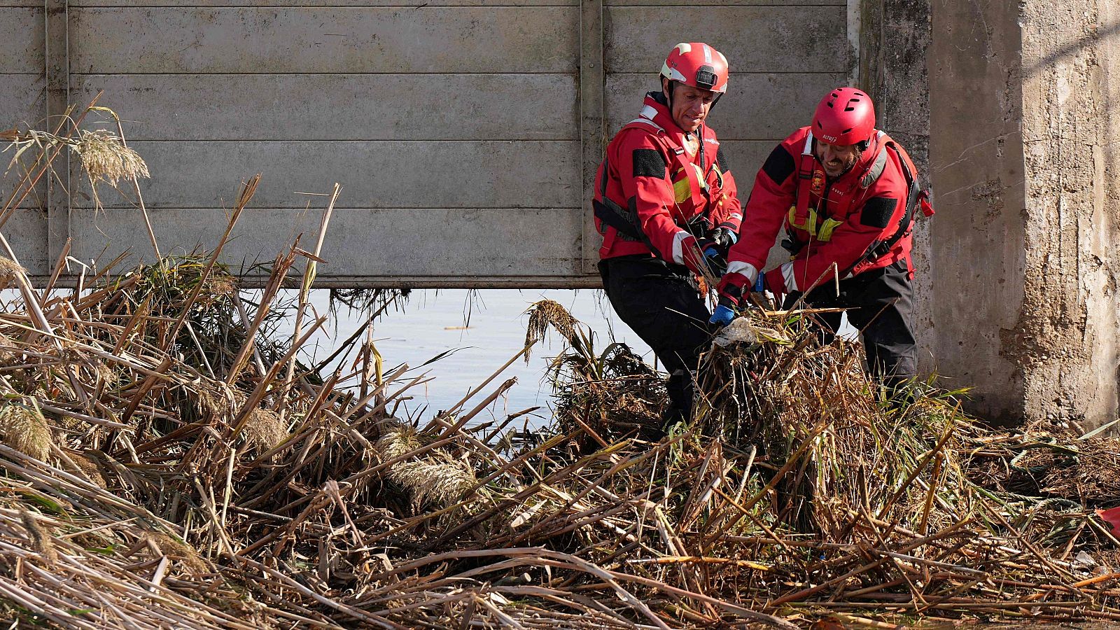 Telediario - 15 horas - 10/11/24 - ver ahora