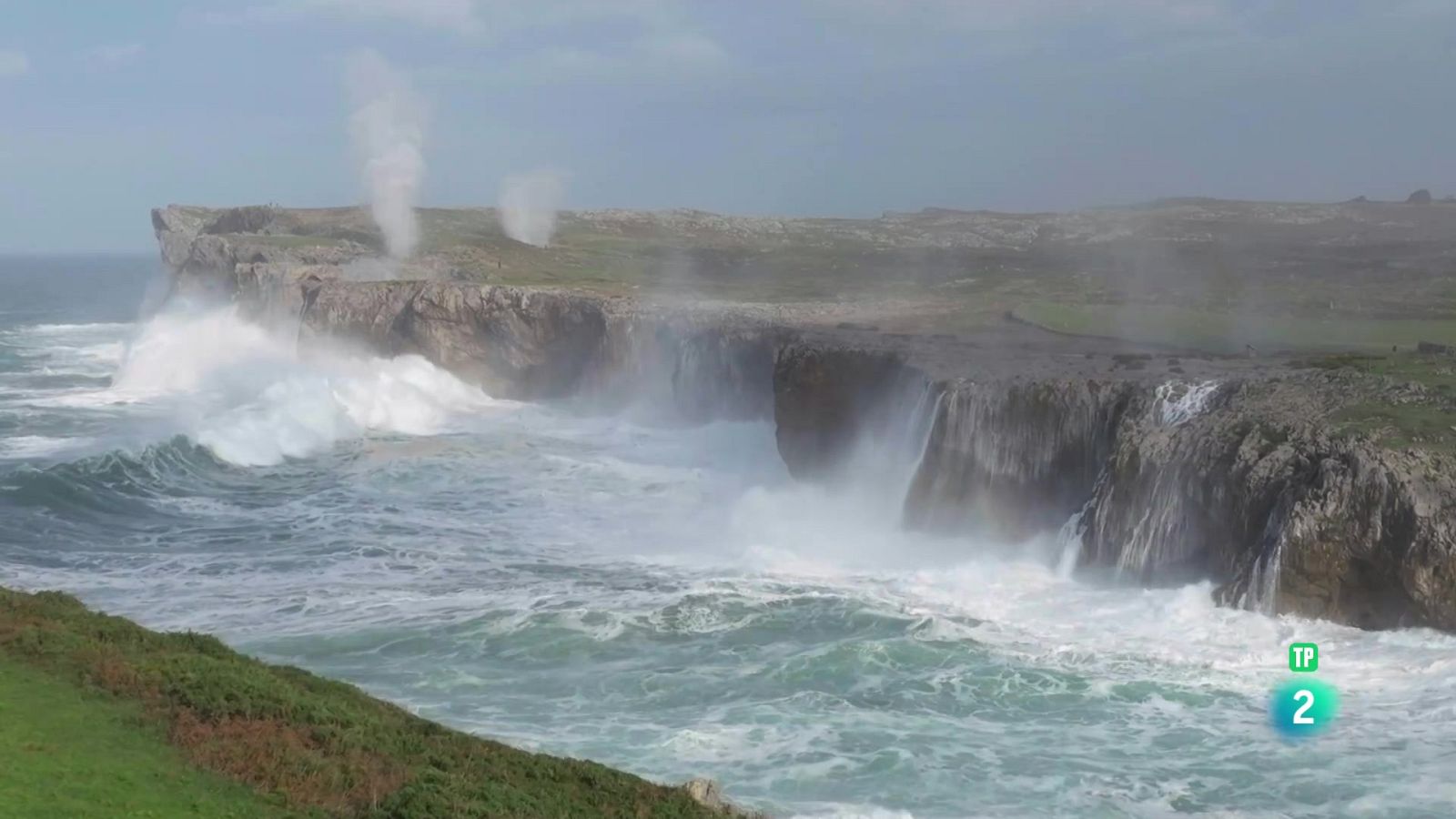 Grans Documentals - Espais naturals espectaculars: Dels bufons de Pría a Doñana - Veure ara