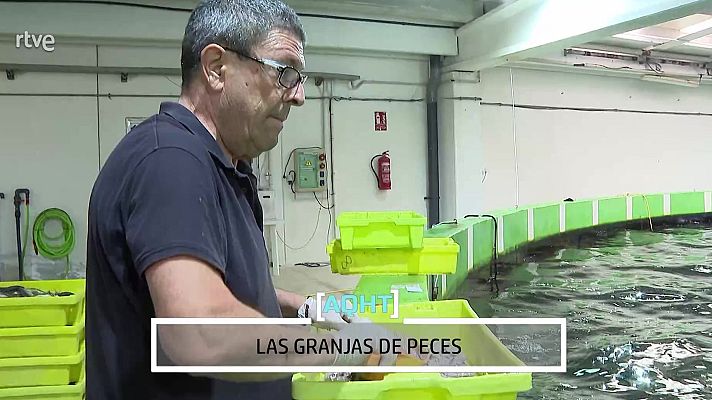 Aquí hay trabajo - Granjas de peces