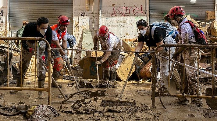 Diario 24 - Diario 24 - 11/11/24