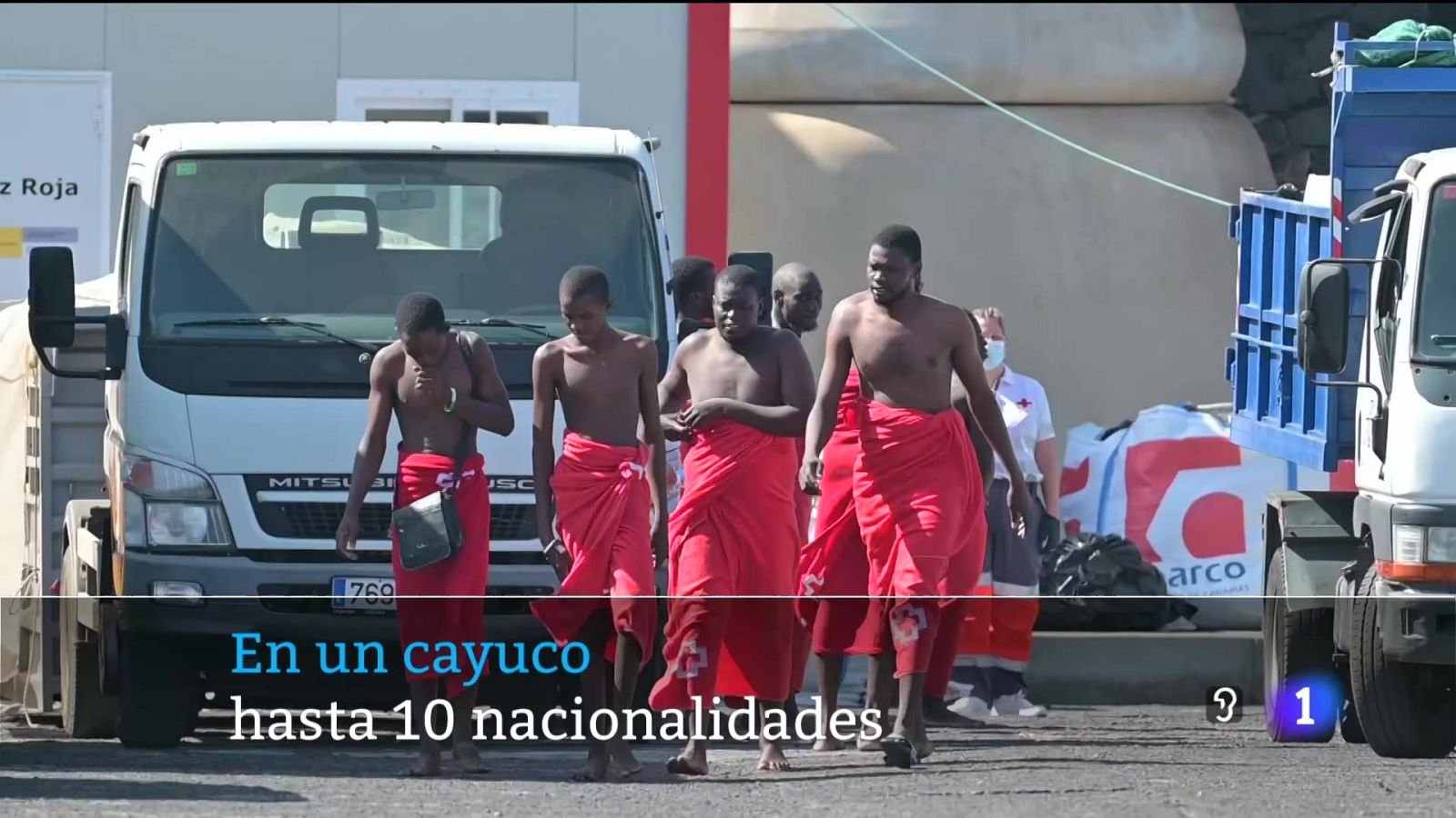 Telecanarias - 11/11/2024 | Ver