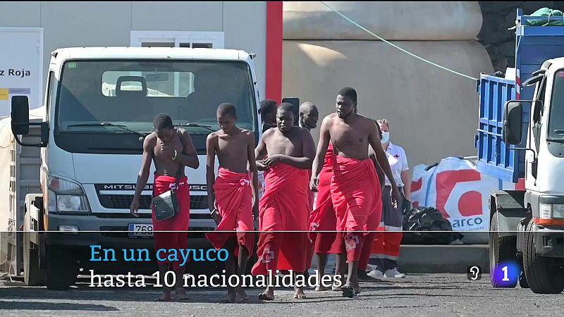 Telecanarias - 11/11/2024 | Ver