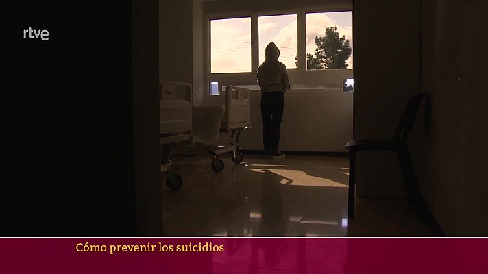 Parlamento - Prevenir los suicidios