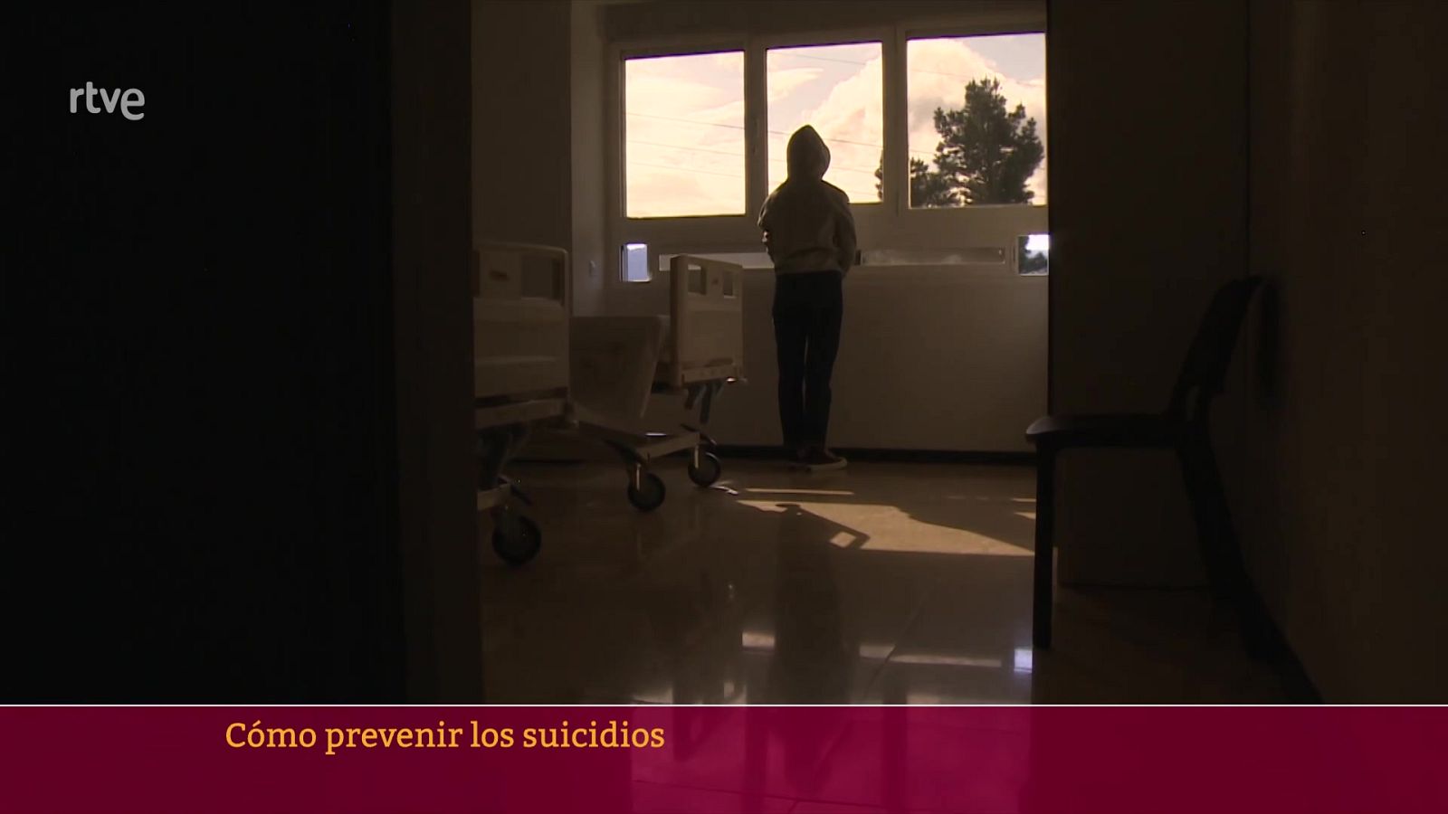 Prevenir los suicidios | Ver