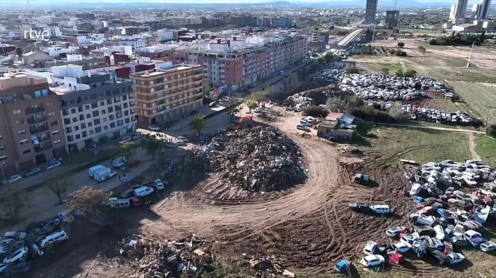 Diario 24 - Diario 24 - 12/11/24