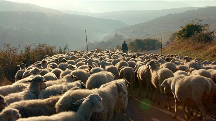 Italiana TV Magazine - Episodio 7