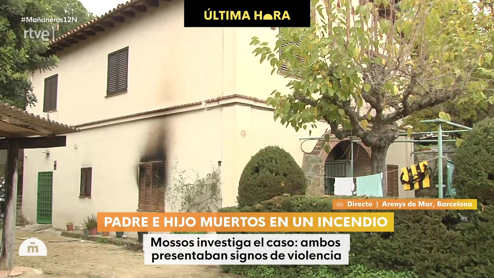 Mañaneros - Programa 289 - ver ahora