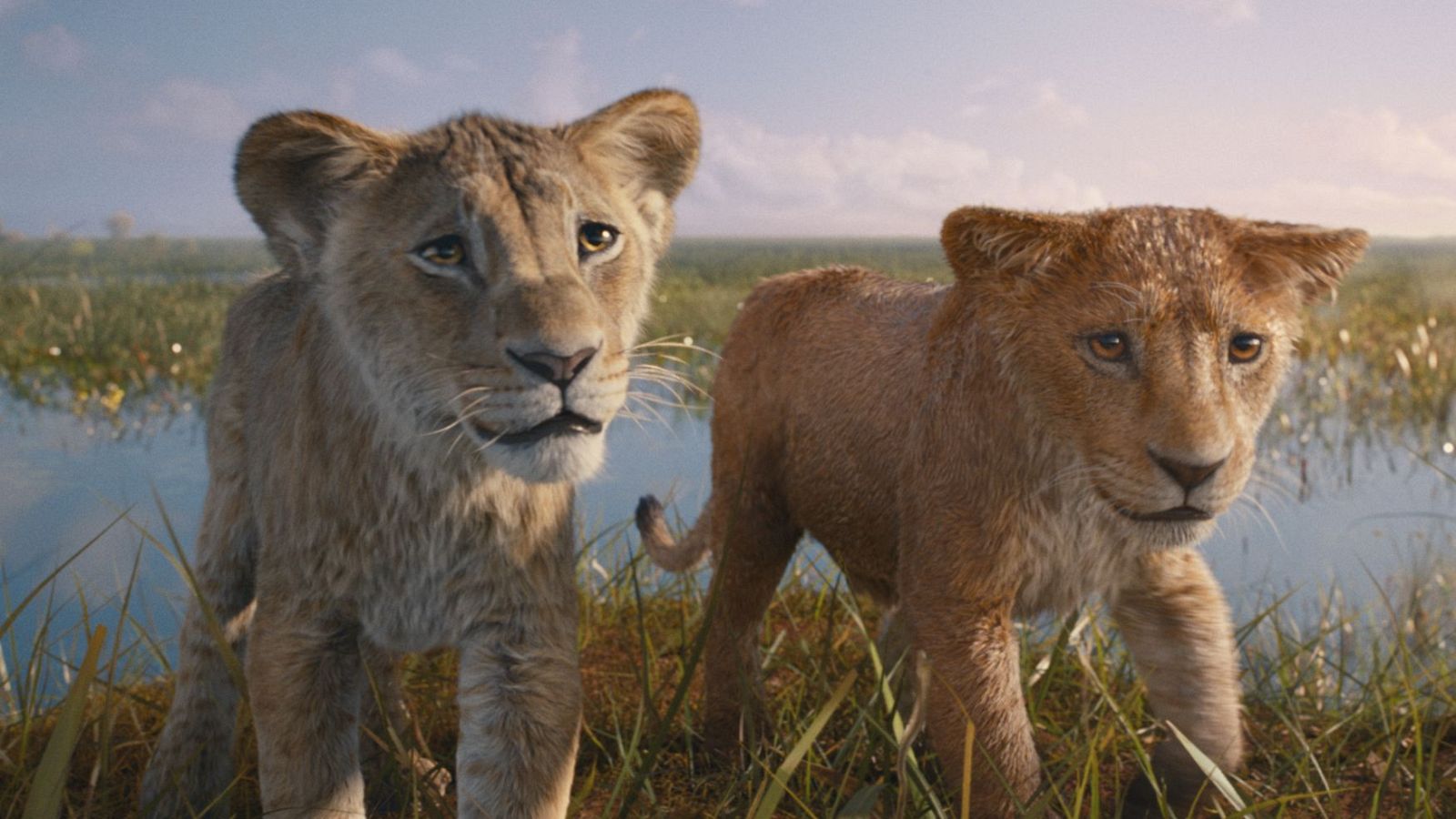 'El rey León', Disney lleva al cine la infancia del padre de Simba - Telediario 1 | Ver