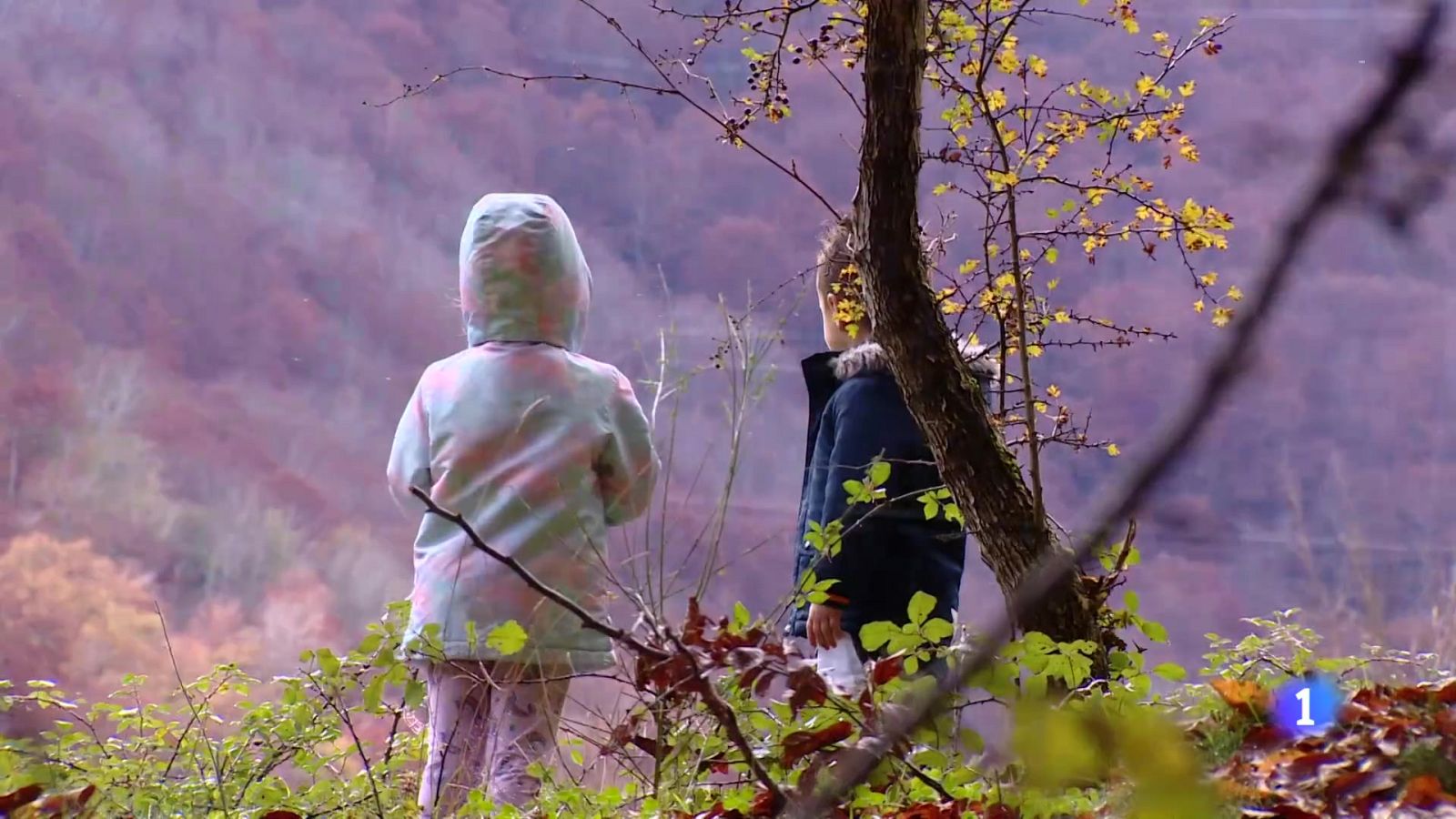 Informativo Telerioja 2 - 12-11-2024 | Ver