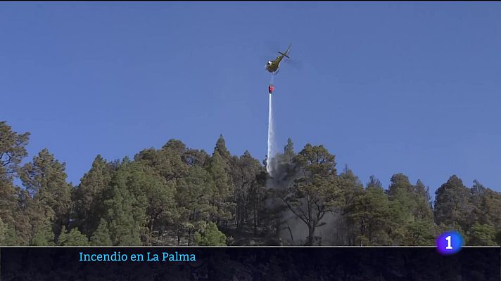 Telecanarias - Telecanarias