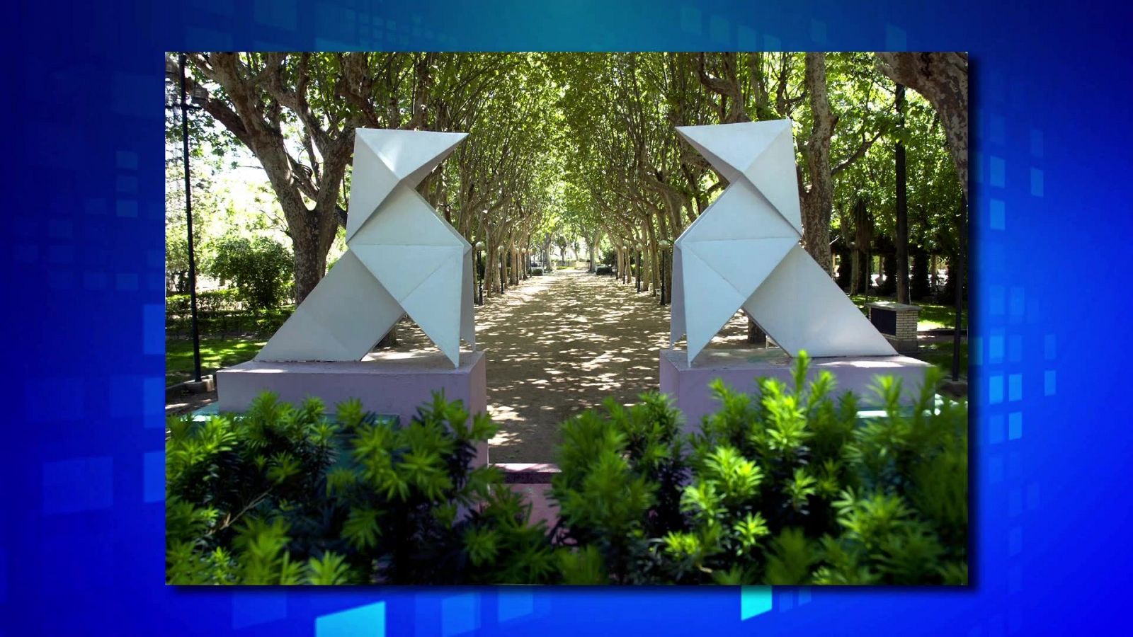 Saber y ganar - 12/11/24 - ver ahora