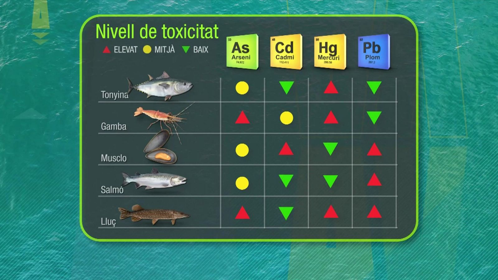 La toxicitat dels peixos i mariscos | L'altaveu - L'altaveu | Veure