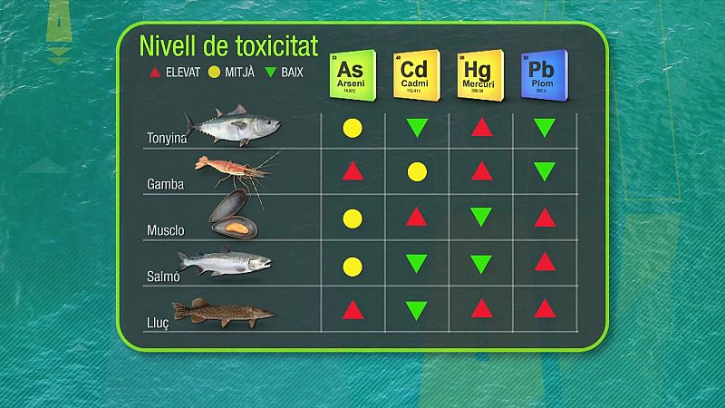 La toxicitat dels peixos i mariscos | L'altaveu - L'altaveu | Veure