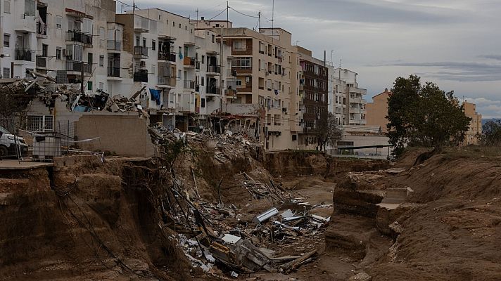 La tarde en 24h - La tarde en 24 horas - 12/11/24