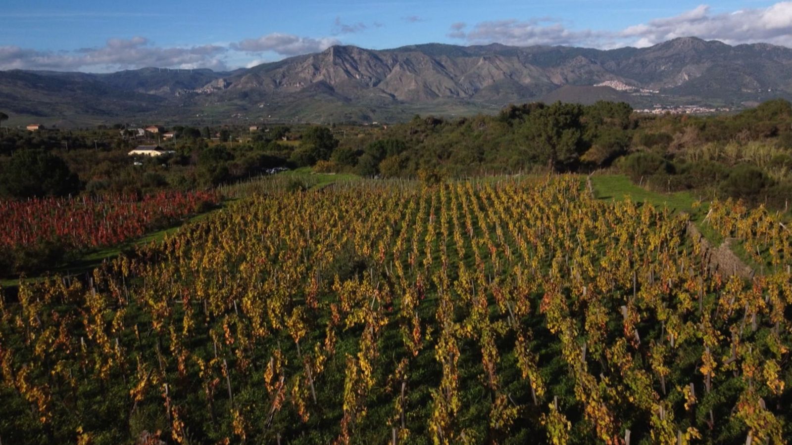 Italiana TV Magazine - Episodio 8 - ver ahora